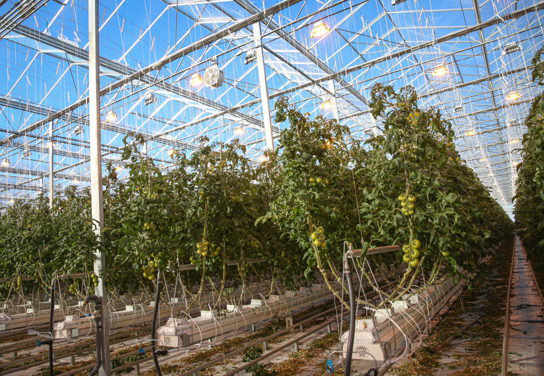Bushel Boy Farms - Mason City tour- interior